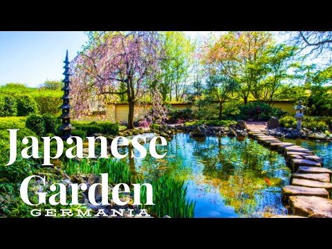 Giappone e Tradizione: La Casa di Padova