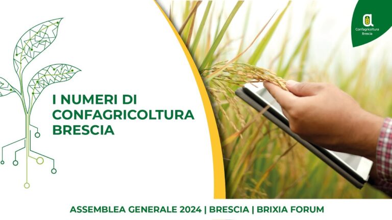 Corsi di Inglese nella Provincia di Brescia